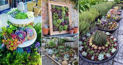 30 Amazing Outdoor Succulent Decoration Pictures - balconygardenweb.com