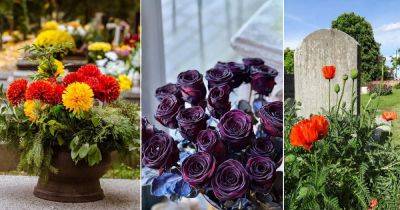 13 Flowers that Represent Death | Flowers that Symbolize Death - balconygardenweb.com