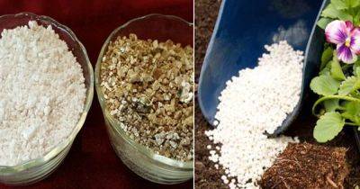 Perlite Vs Vermiculite | Difference Between Perlite and Vermiculite - balconygardenweb.com