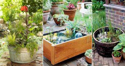 24 DIY Container Water Garden Ideas For Container Gardeners - balconygardenweb.com - state California