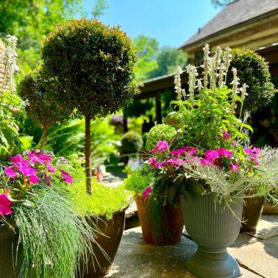 An Artist’s Garden Containers - finegardening.com - state Pennsylvania