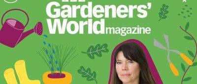 Guide to rescuing house plants with Sarah Gerrard-Jones - gardenersworld.com