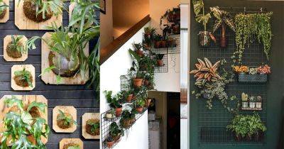 23 Creative & Modern Indoor Plant Wall Decor Ideas - balconygardenweb.com