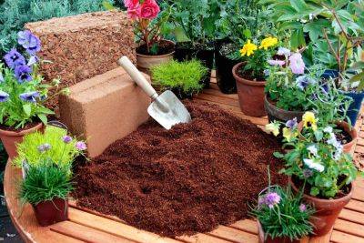 How To Use Coco Peat In Garden+Coco Peat Benefits Proven In Research - balconygardenweb.com - county Garden