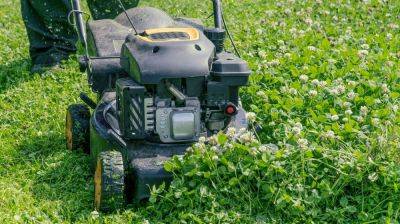 Who Makes The Best Lawn Mower Engine Today? - homesthetics.net