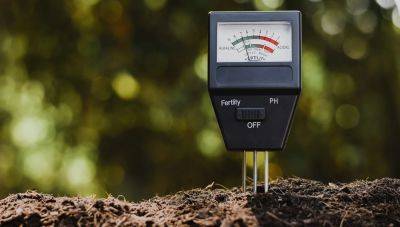 10 Best Soil PH Testers Of 2023 | Reviews + Guide - homesthetics.net