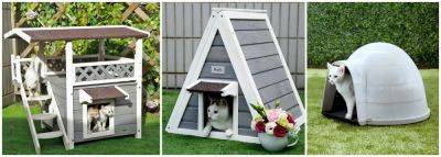 8 Best Outdoor Cat Houses Of 2023 | Reviews + Guide - homesthetics.net