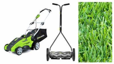 Best Lawn Mower For St Augustine Grass | Reviews + Guide - homesthetics.net