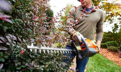 5 Best Gas Hedge Trimmers Of 2023 [Buyer's Guide] - homesthetics.net