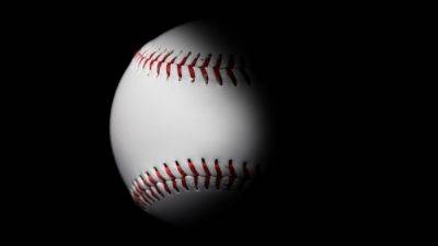 8 Best Baseball Batting Nets Of 2023 | Reviews + Guide - homesthetics.net