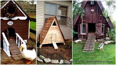 43 FREE DIY Duck Coop Plans & Duck House Plans - homesthetics.net