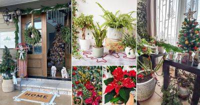 80 Christmas Decoration with Plants Ideas on Instagram - balconygardenweb.com