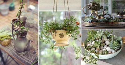 20 Indoor Planter Ideas from Old Kitchen Items - balconygardenweb.com