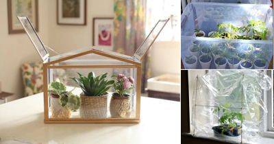 24 DIY Mini Indoor Greenhouse Ideas For Winter & Early Spring - balconygardenweb.com