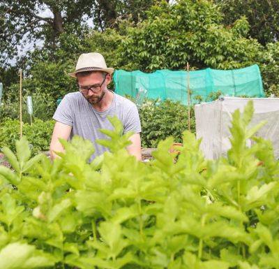 Allotment Jobs for July - sharpenyourspades.com - Britain