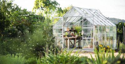 How To Use A Greenhouse For Beginners - homesthetics.net
