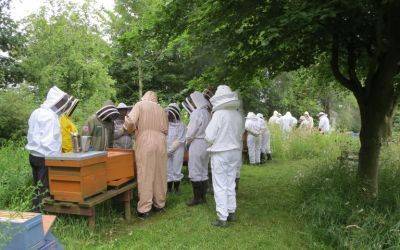 J. Parker’s to Partner with Mid Cheshire Beekeepers - jparkers.co.uk