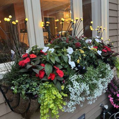 Allison’s Container Creations - finegardening.com - state New Jersey