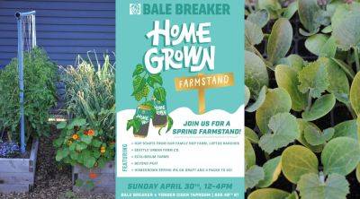SUFCo x Bale Breaker Brewing Homegrown Spring Farmstand - April 30th, 2023 - seattleurbanfarmco.com - city Seattle