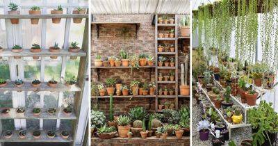 22 Greenhouse Shelving Ideas | Best Greenhouse Shelf to Create Space - balconygardenweb.com