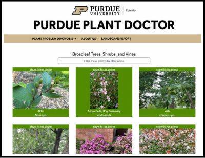 Diagnosing plant troubles, with the purdue plant doctor - awaytogarden.com