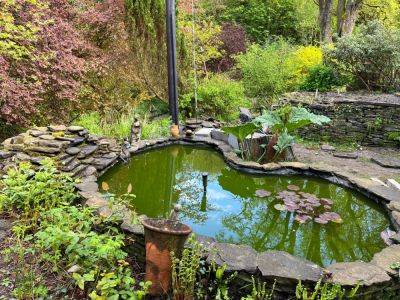 Exploring the Beauty of Woodland Gardens with GardenAdvice - gardenadvice.co.uk