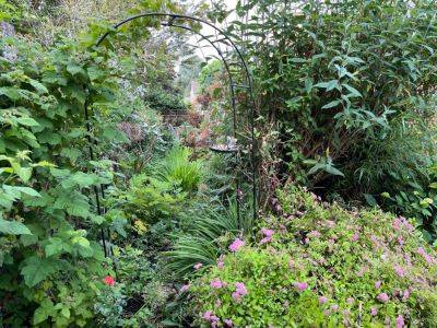 Pruning and Caring for Overgrown Gardens: A Comprehensive Guide by GardenAdvice - gardenadvice.co.uk