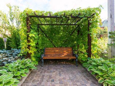 In the Garden: Create a private outdoor oasis - theprovince.com - county Garden
