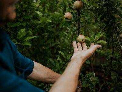 Brian Minter: There are many ways to grow food in a well-planned manner - theprovince.com