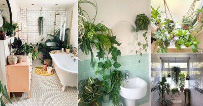 17 Hanging Plant Ideas for Bathroom - balconygardenweb.com