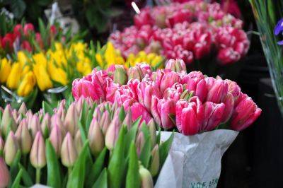 The finest flower markets in London - theenglishgarden.co.uk - Britain - city Columbia - city London