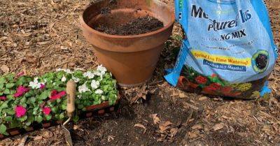 Add a Touch of Creativity to Your Yard With a Spilled Planter - hometalk.com