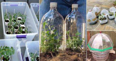 13 Easy DIY Seedling Greenhouse Ideas - balconygardenweb.com
