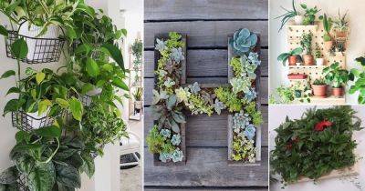 23 DIY Indoor Plant Wall Projects Anyone Can Do | Living Wall Ideas For Home - balconygardenweb.com