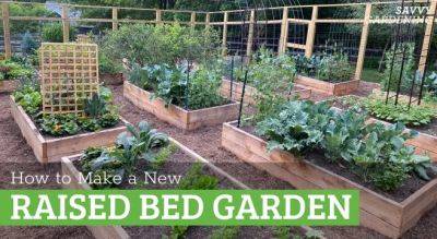 How to Make a New Raised Bed Garden Step-by-Step - savvygardening.com