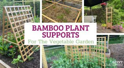 Bamboo Plant Supports for Gardens and Raised Beds - savvygardening.com