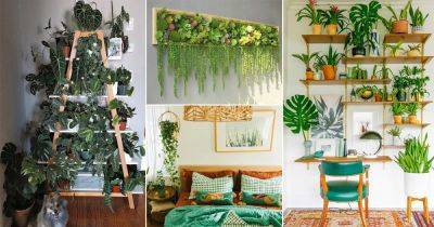 50 Most Liked Indoor Plant Pictures of 2020 on Instagram - balconygardenweb.com