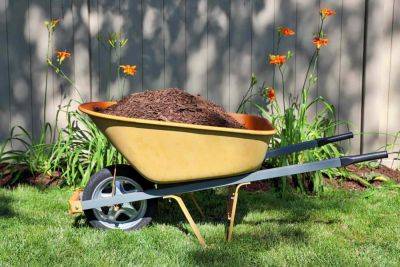How Much Mulch Do You Need? Here’s How To Figure It Out - southernliving.com