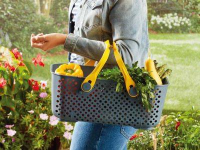 10 Garden Tools You Need This Spring, According To An Expert - southernliving.com - state Alabama