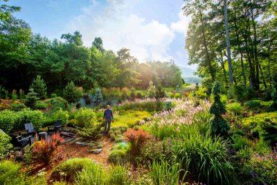 Garden Designer Jay Sifford Is At Peace Among The Plants - southernliving.com - state North Carolina