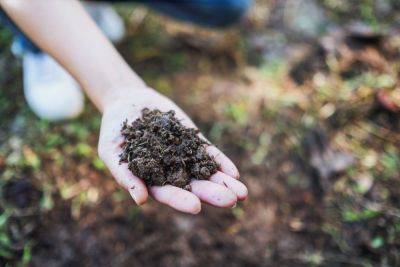 How To Identify Your Soil Type - southernliving.com