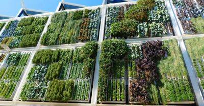 The Most Ingenious Vertical Garden Ideas For Small Spaces - hometalk.com