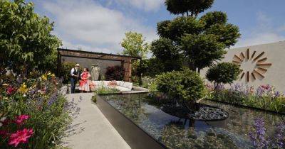 Bloom: Ice-cream, oysters and garden designs vie for attention - irishtimes.com