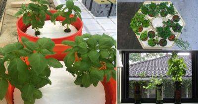 15 DIY Hydroponic Herb Garden Ideas - balconygardenweb.com