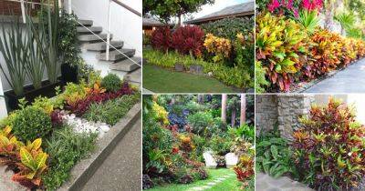 25 Stunning Landscaping with Croton Pictures - balconygardenweb.com
