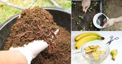 14 Powerful DIY Cucumber Fertilizers You Should Try Once! - balconygardenweb.com