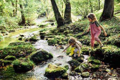 Use Riparian Planting to Restore River and Stream Banks - treehugger.com