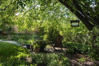 Your Understanding of Shade Can Make or Break a Garden - treehugger.com