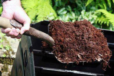 DIY Organic Fertilizers Sourced From Your Home and Garden - treehugger.com