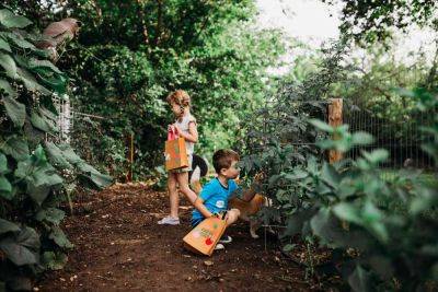 For a Community Food Forest, Consider a Creative Location - treehugger.com